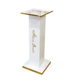 COLUMNA EXPOSITORES CIENTIFICA 96x41x36 cm. para ESCALERA 