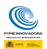 PYME INNOVADORA